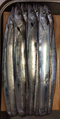 Silver&Blue