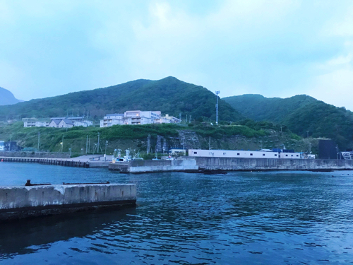 釣りタノ 北海道 ヒラメを狙え 漁港にて