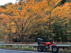 原付散歩の立ち寄り先