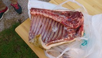 収穫祭2014春?夏? 2014/06/15 20:59:41