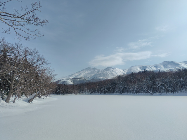 今日も良いお天気