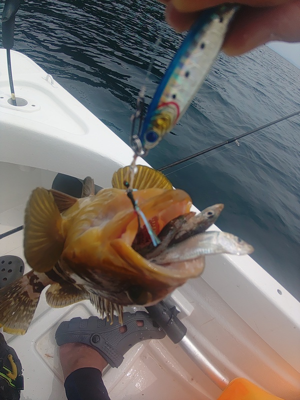 豊穣の海(*´∀｀)宮津伊根湾☆