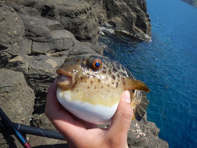 平成26年6月佐渡釣行
