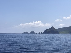 令和3年7月佐渡釣行⑤ 2021/08/02 22:44:00
