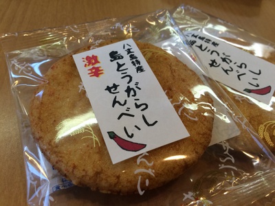 平成27年12月八丈島釣行②