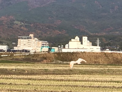 令和元年11月佐渡釣行⑧