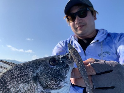 初夏の浜名湖、フィールドモニター栁舘氏から近況報告が届きました！