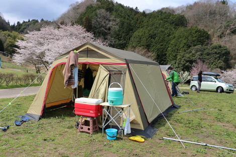 花見キャンプに行ってきました　(^-^)/