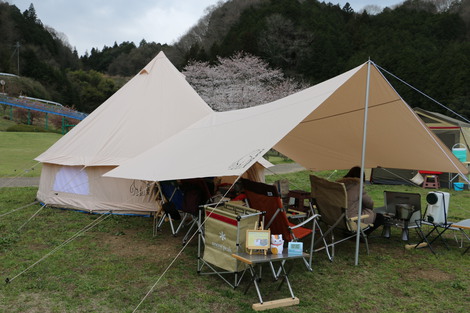 花見キャンプに行ってきました　(^-^)/