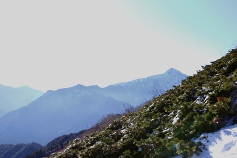 仙丈ヶ岳に行ってきました(^^)