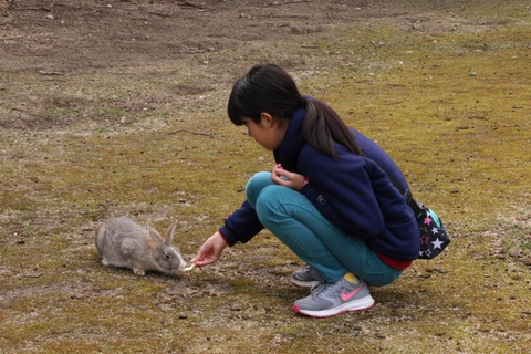 四国キャンカーでの旅