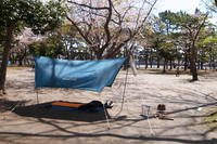 お手軽デイキャンプ～野島公園編～