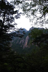 お手軽百名山～瑞牆山～ 2014/07/29 20:39:41