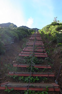 南八ヶ岳縦走（その２）