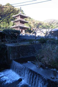 大山温泉トレッキング 2014/11/23 19:33:17