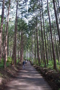 いつもの塔ノ岳ソロ登山 2015/05/27 21:00:05