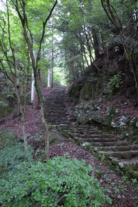 大山～鶴巻温泉縦走 2015/06/21 11:21:51