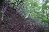道志村の大室山登山 2015/09/13 08:40:10