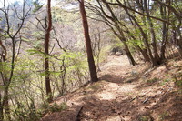 四尾連湖水明荘キャンプ場 2014/02/11 18:00:00