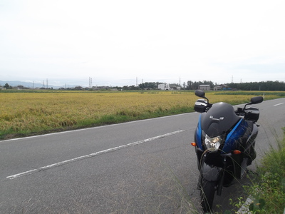 近場をぷらっと～