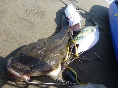 常磐の海でヒラメを狙う