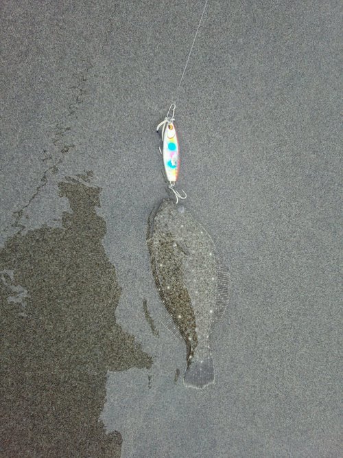 10月13日のサーフ　　ちっさい