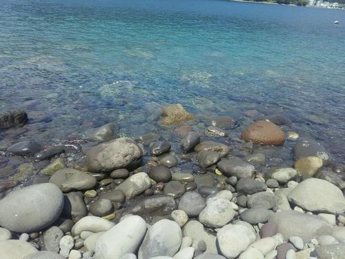 夢を求めて駿河湾へ