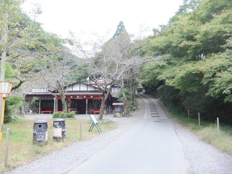 高野川河川敷 （八瀬比叡山口駅裏）