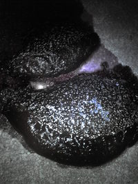 この風この肌触りこそアオリ釣りな？・・・夏 2010/06/13 11:49:39