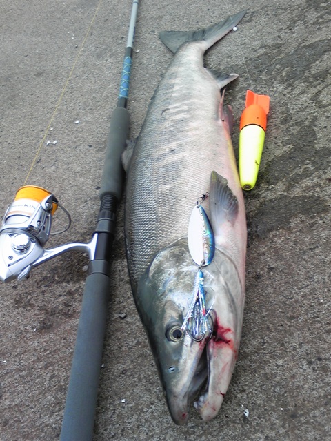 浮きルアー釣行その2