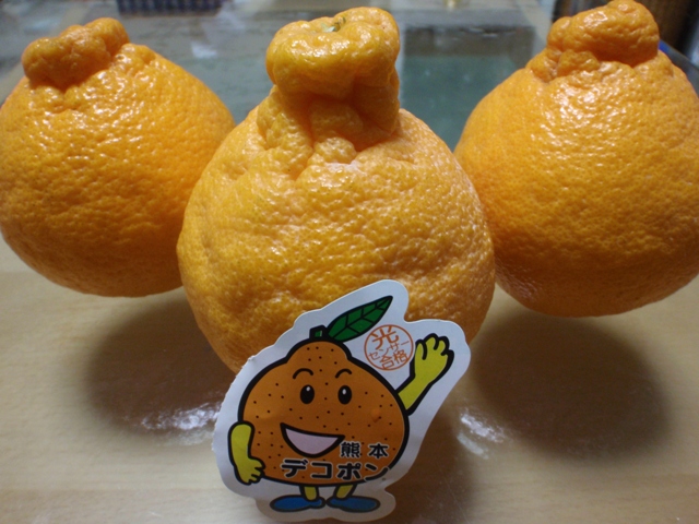 吉田カバン