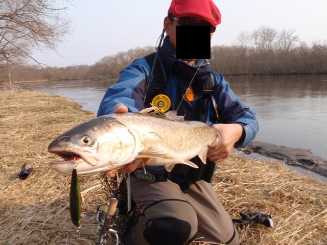 やはり本流
