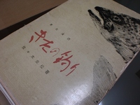 きたの釣り 2009/05/11 21:12:46