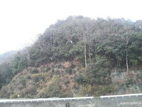降ってます♪