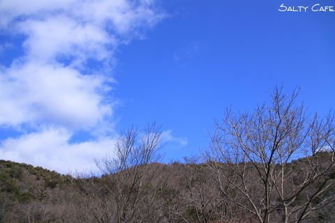 ひとりでできるもん。