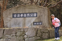 吊り橋リベンジ。