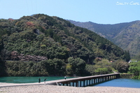 続々・弾丸四万十めぐりの旅。