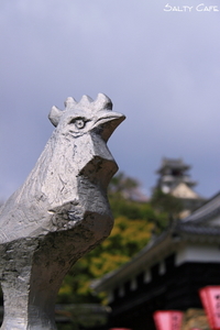 続々々々々々々・弾丸四万十めぐりの旅。