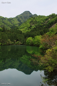 一人で山ラー目指して。　～明神山～