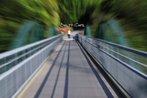 橋。