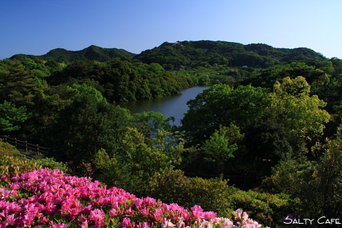 橋。