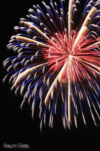 Fireworks　～花火～
