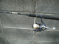 Halibut&CERTATE 2011/04/30 09:59:40