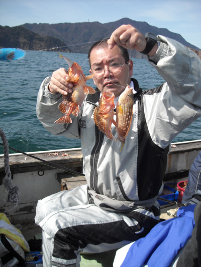 若狭湾のガシラ釣りは満開　その2