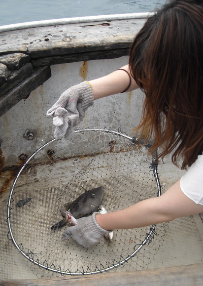 初心者釣り教室は愉しい　その11釣り宿村松