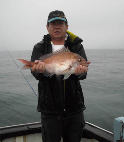 若狭湾の鯛つりは愉しい　その7若狭釣り宿村松