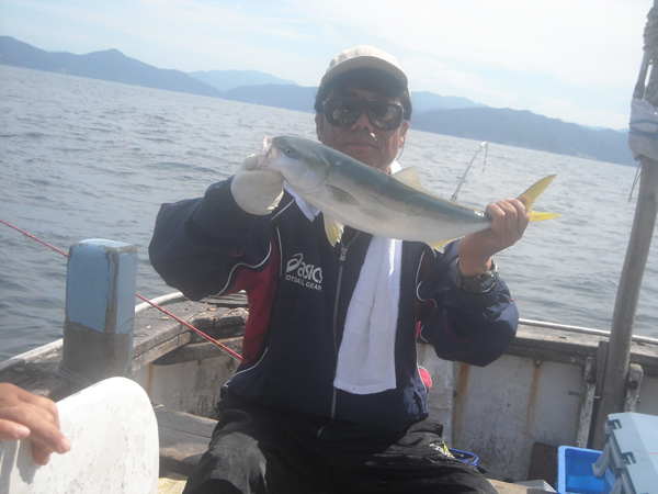 若狭湾のハマチ釣りその2　若狭釣り宿　民宿村松