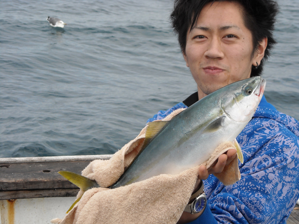 若狭湾のハマチ釣りその3　民宿村松