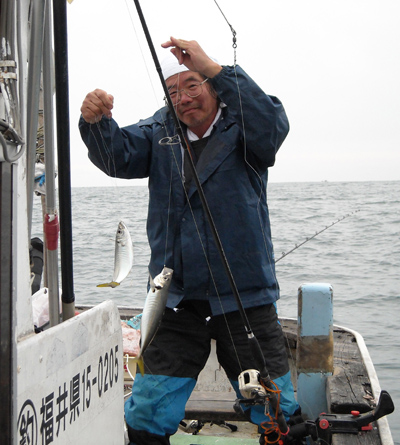 若狭湾 の大型鯵釣り　その9　若狭民宿村松