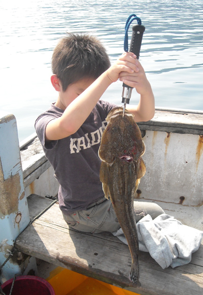 釣教室１０年 その9　 若狭釣宿 民宿村松